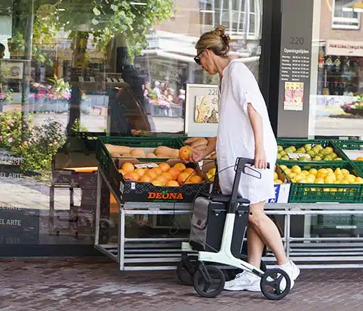 Een vrouw doet boodschappen bij een groentekraam met de Rollz Air